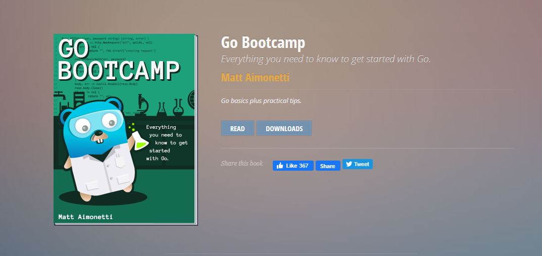 Go bootcamp-learn go